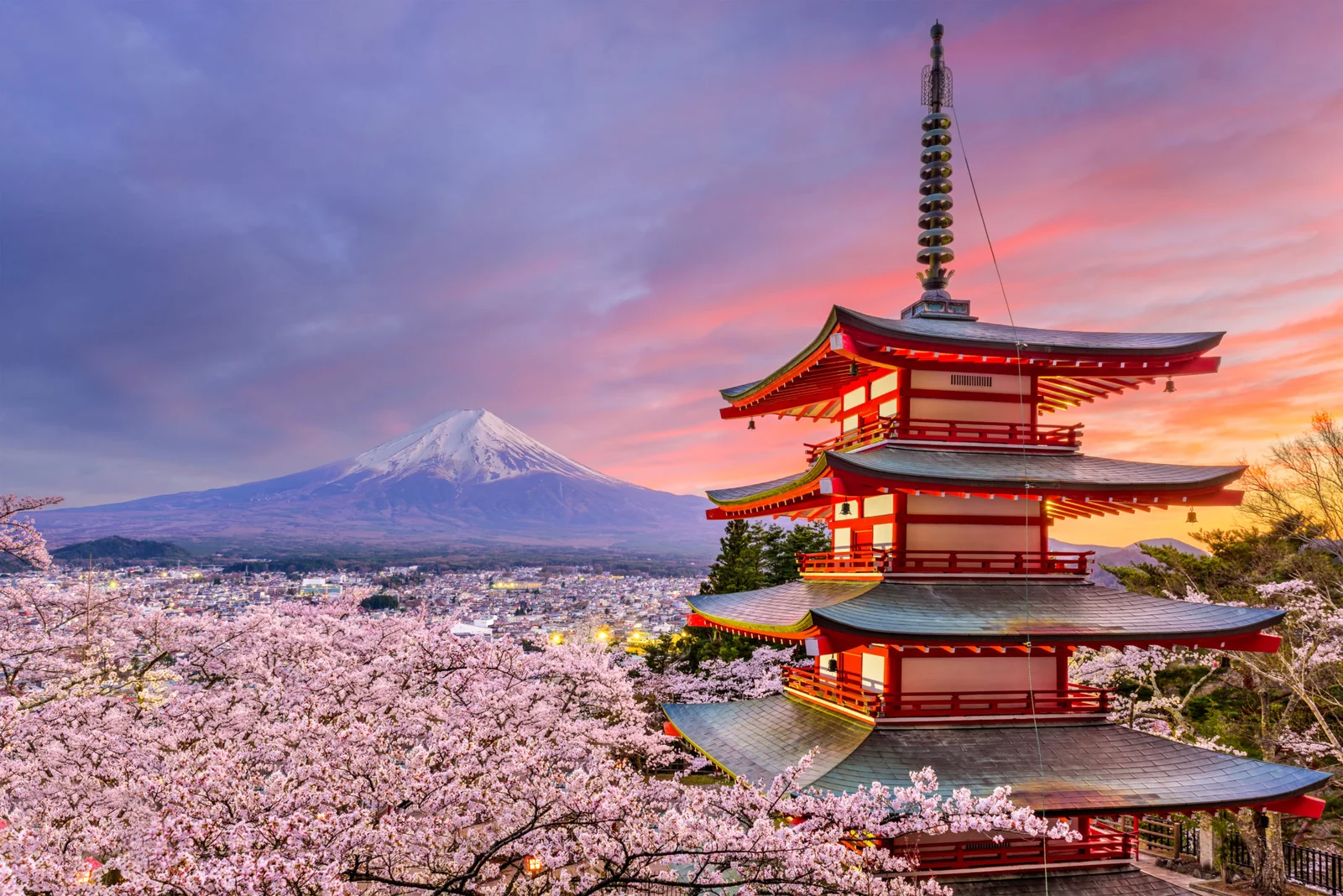 Tours to Japan ( Tokyo )