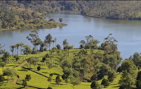 Tours to Kerala ( Thekkady )