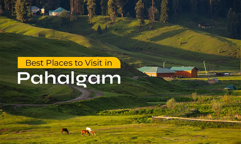 Tours to kashmir (Pahalgam)