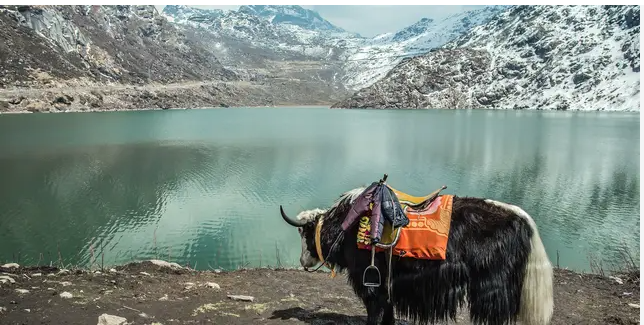 Tours to Sikkim ( Gangtok )