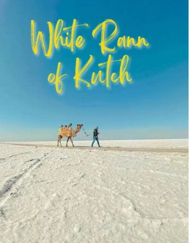 Kutch Rann Utsav – 3 Days of White Desert Magic!