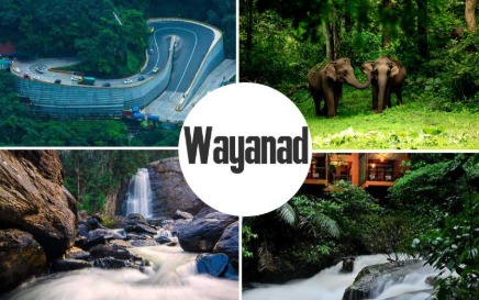 Coorg Wayanad Ooty Kodaikanal Tour Package 9 Days