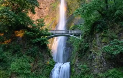 Fully Loaded Dalhousie Package 4 Night 5 Days