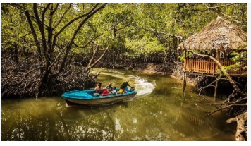 Stargazing Romance In Andaman  6N & 7D With Baratang Island